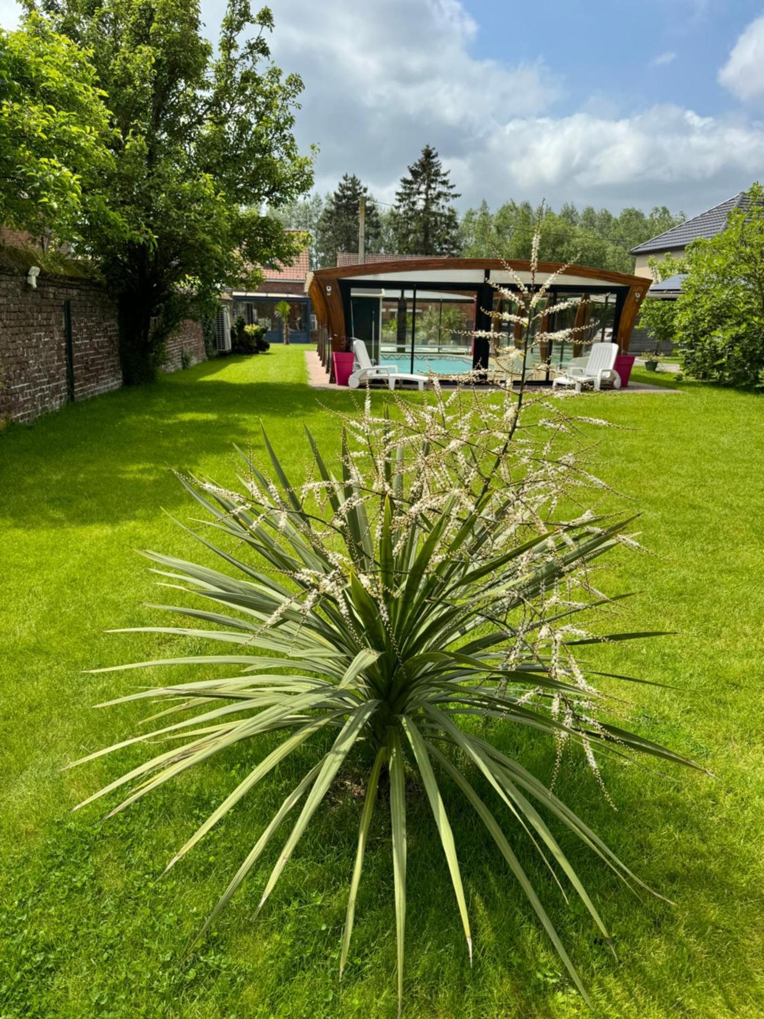 Gite Avec Piscine Lestrem Eksteriør billede
